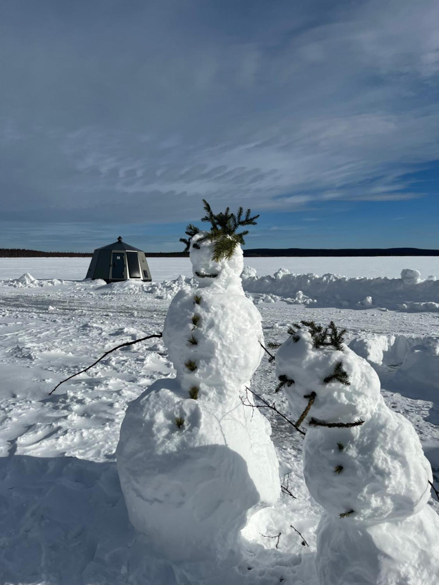 Vikajaervi Lake View Experience Igloos Rovaniemi Exterior foto